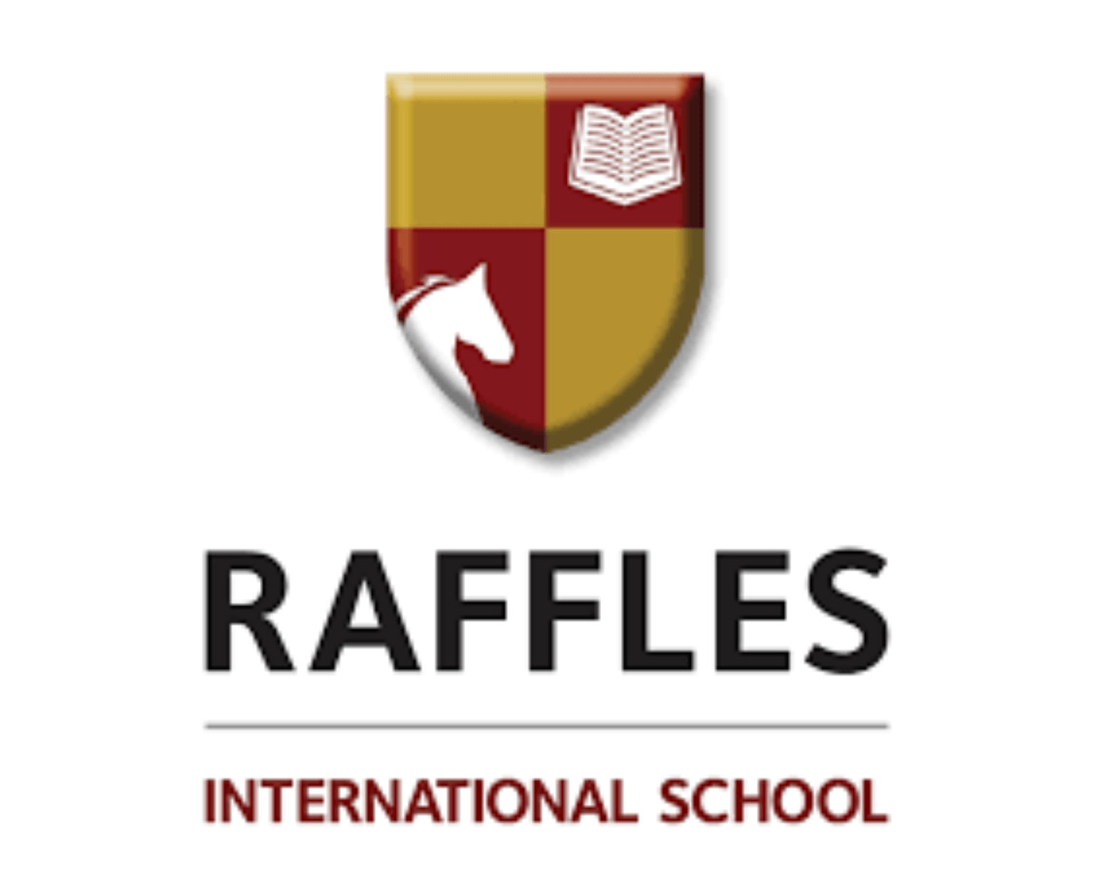 Raffles International School - First CCA training image